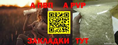 мяу мяу мука Гай