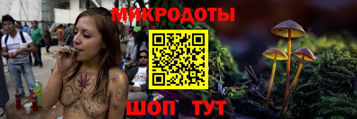 Галлюциногенные грибы Psilocybe Гулькевичи
