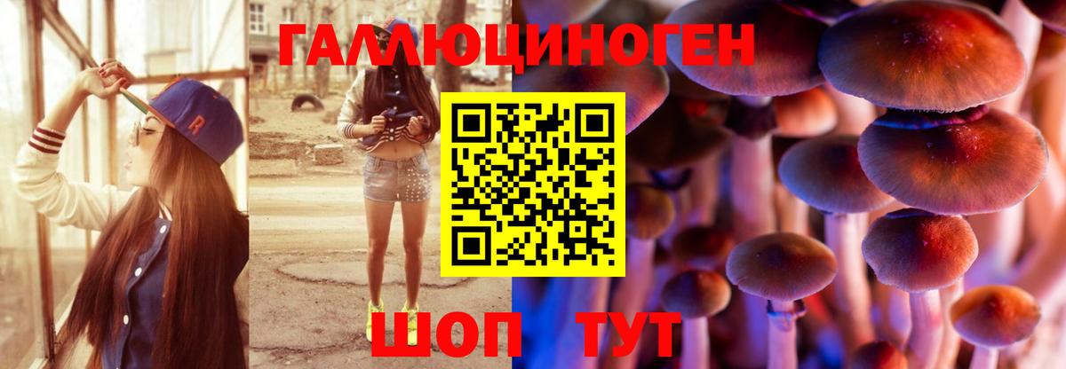 Гулькевичи  Галлюциногенные грибы Psilocybine cubensis  Вход с VPN 