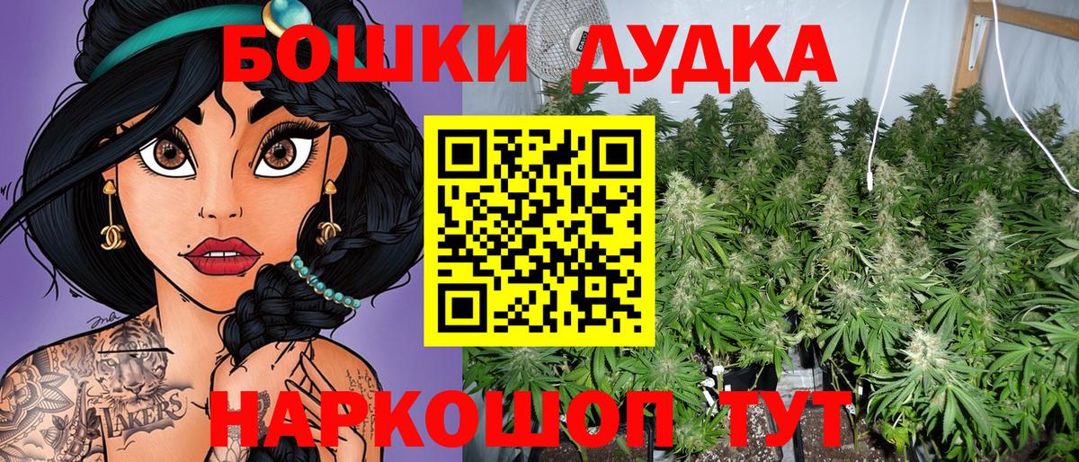 Конопля сатива Гулькевичи